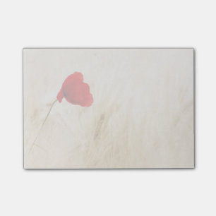 Notas Post-it® Una sola amapola roja en un campo de hierba