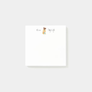 Notas Post-it® Verano Griffon