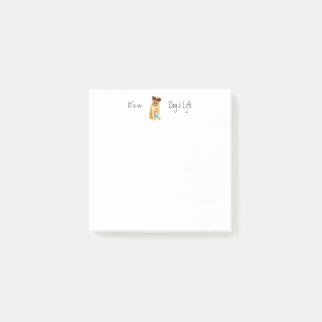 Notas Post-it® Verano Griffon (Anverso)