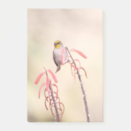 Notas Post-it® Verdin encaramado sobre pénstemo