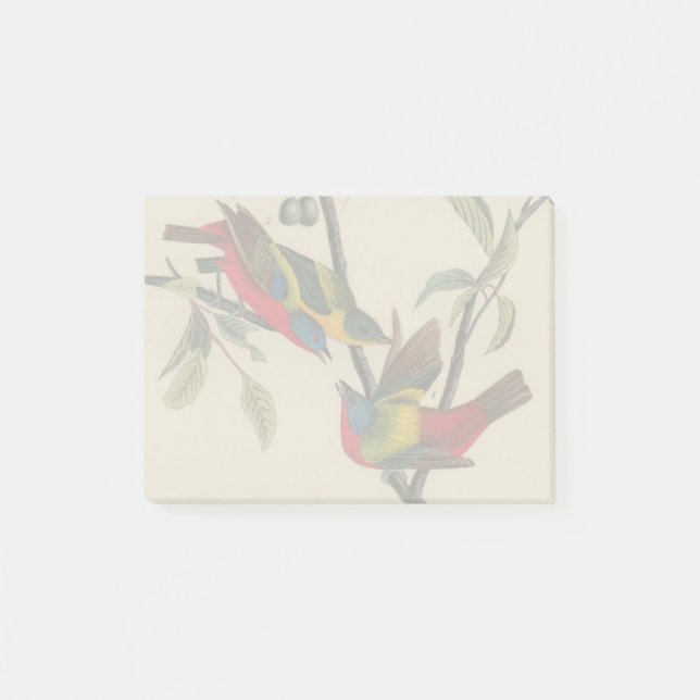Notas Post-it® Vida silvestre de las aves de Bunting de Audubon (Anverso)