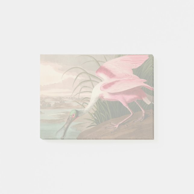 Notas Post-it® Vida silvestre de los pájaros roseados Spoonbill A (Anverso)