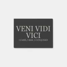 Vine, yo vi, yo conquisté - la luz