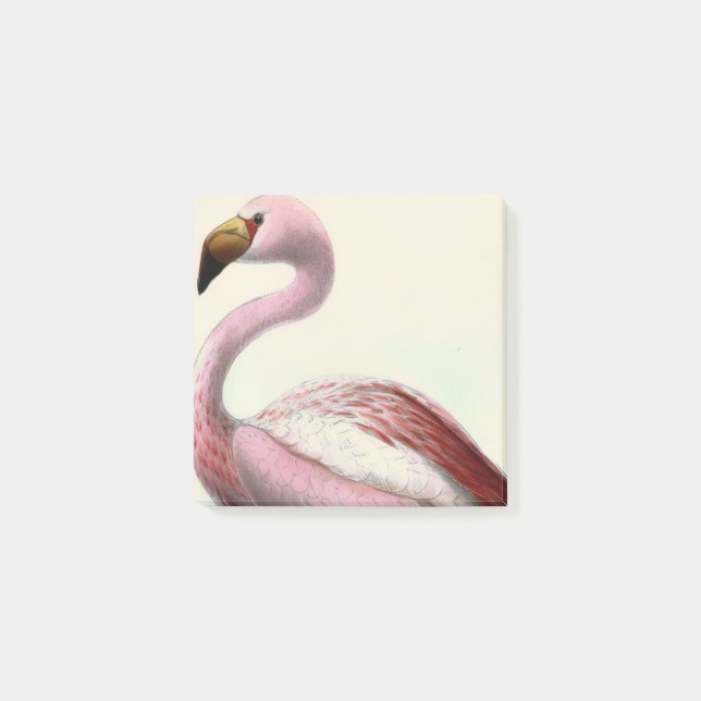 Notas Post-it® Vintage Flamingo (Anverso)