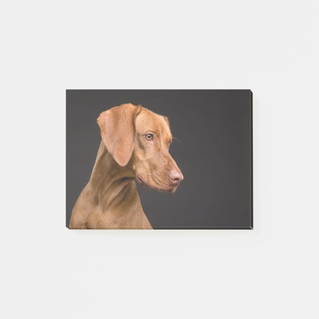 Notas Post-it® Vizsla (Anverso)