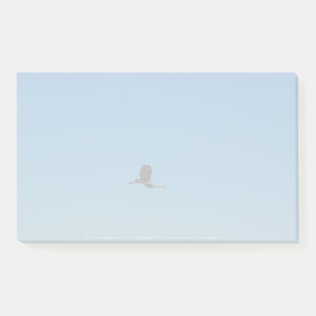 Notas Post-it® Volante (Anverso)