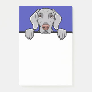 Notas Post-it® Weimaraner Cute Peeking Dog Lover Regalos Estacion
