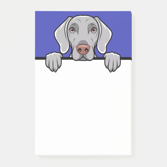 Notas Post-it® Weimaraner Cute Peeking Dog Lover Regalos Estacion (Anverso)