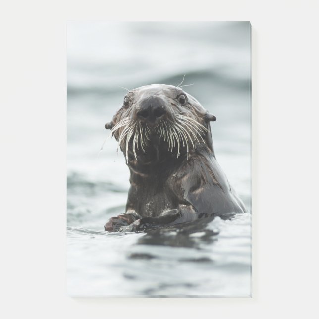 Notas Post-it® Wise Otter (Anverso)