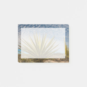 Notas Post-it® Yucca en el desierto, México