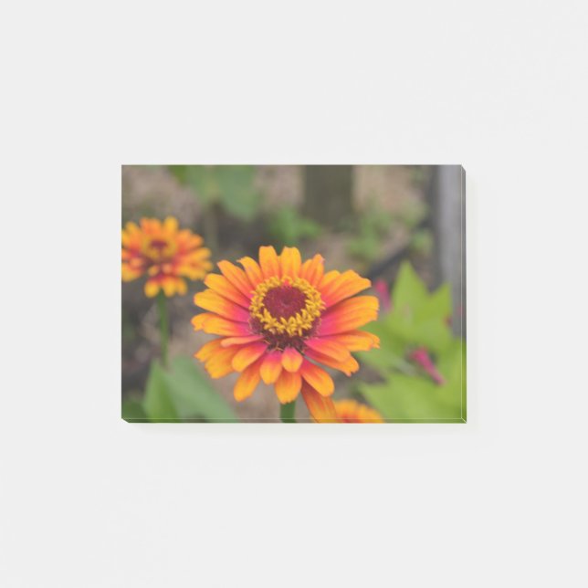 Notas Post-it® Zinnia anaranjado bonito (Anverso)