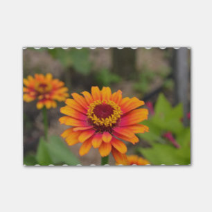 Notas Post-it® Zinnia anaranjado bonito