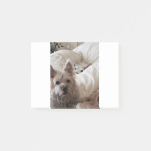Notas Post-it® Zoe y Yoda