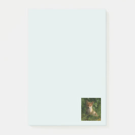 Notas Post-it® Zorro de bebé barato en un bosque verde