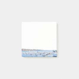 Notas posteriores a Wisconsin de Lake Geneva