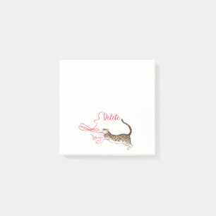 Notas posteriores al mensaje de Cat with Ribbon