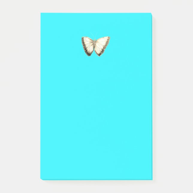 Notas posteriores al patrón de mariposa (Anverso)