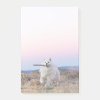 Notas posteriores de 4"x6" - Branch Manager