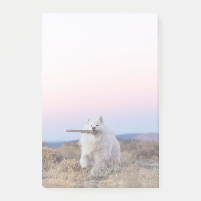 Notas posteriores de 4"x6" - Branch Manager (Anverso)