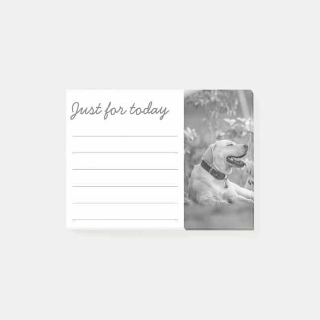 NOTAS POSTIT RELAJANTES DEL PERRO DE TRABAJADOR (Anverso)