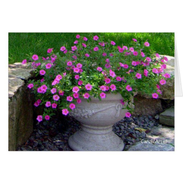 Notas rosadas del plantador de la flor (Anverso (Horizontal))