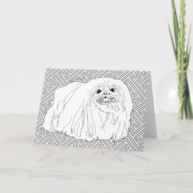 Notas sobre el perro pequinés (Anverso)
