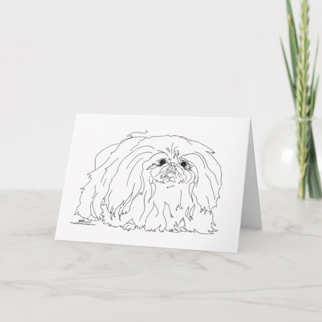 Notas sobre el perro pequinés (Anverso)