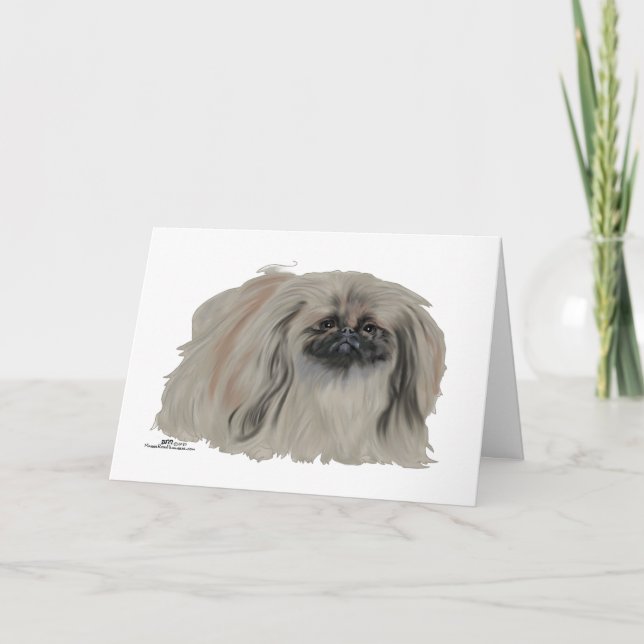 Notas sobre el perro pequinés (Anverso)