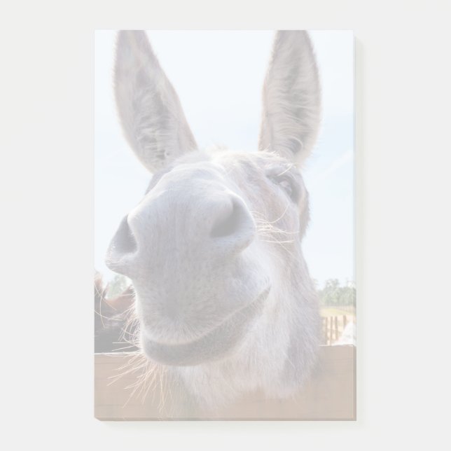 Notas sonrientes de Donkey Post-It (Anverso)