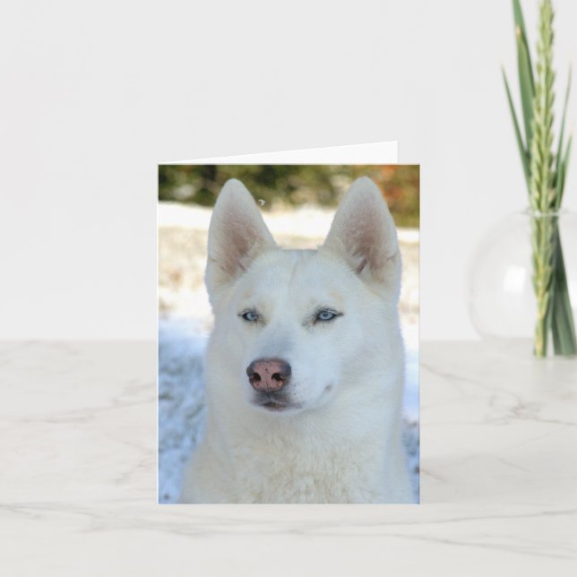 Notecard del husky siberiano o tarjeta de (Anverso)