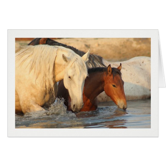 Notecard muestra caballos salvajes y su bebé (Anverso (Horizontal))