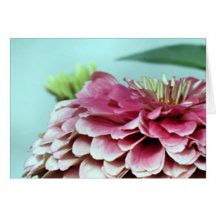 Notecard - Pétalos de zinnia
