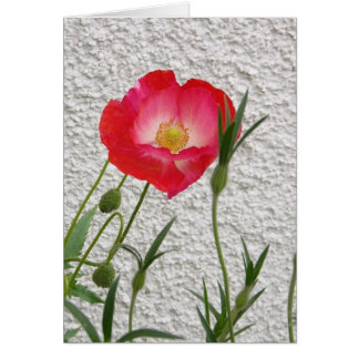Notelet de la amapola