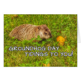¡Noticias del día de la marmota a usted! tarjetas