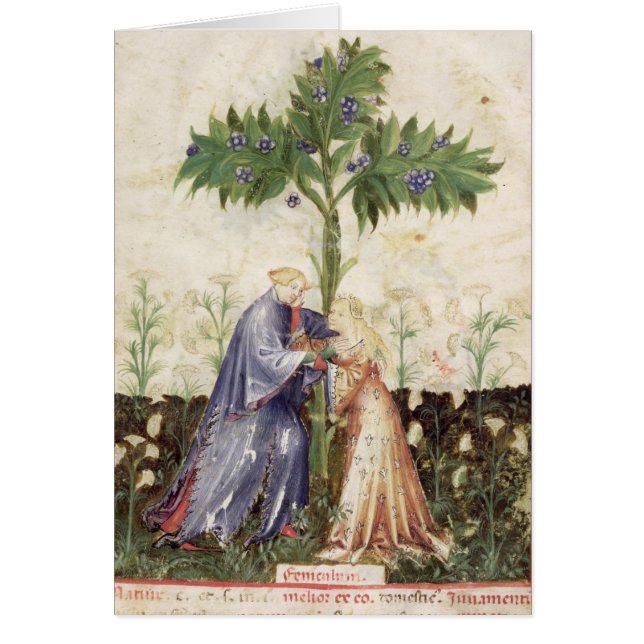 Nouv Acq LatFennel, de 'Tacuinum Sanitatis (Frente)