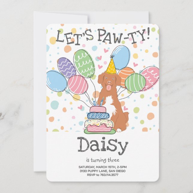 Nova Scotia Duck Tolling Birthday Party Invitación (Anverso)