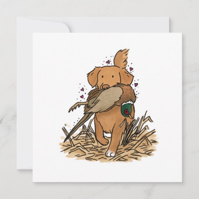 Nova Scotia Duck Tolling Retriever (Anverso)