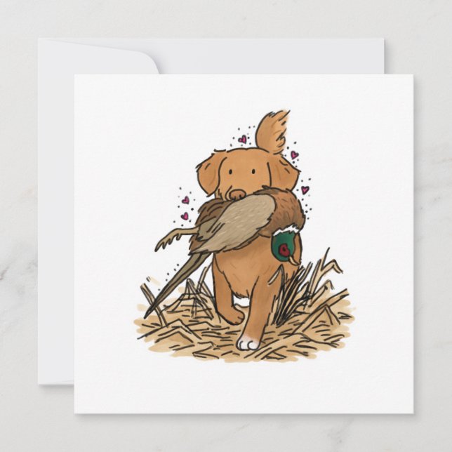 Nova Scotia Duck Tolling Retriever NSDTR (Anverso)