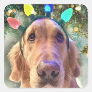 Nova the Golden Retriever - Pegatinas de Navidad