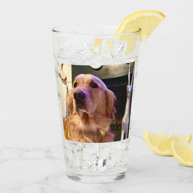 Nova The Golden Retriever - Tumbler de vidrio / Sh (Reverso (hielo))