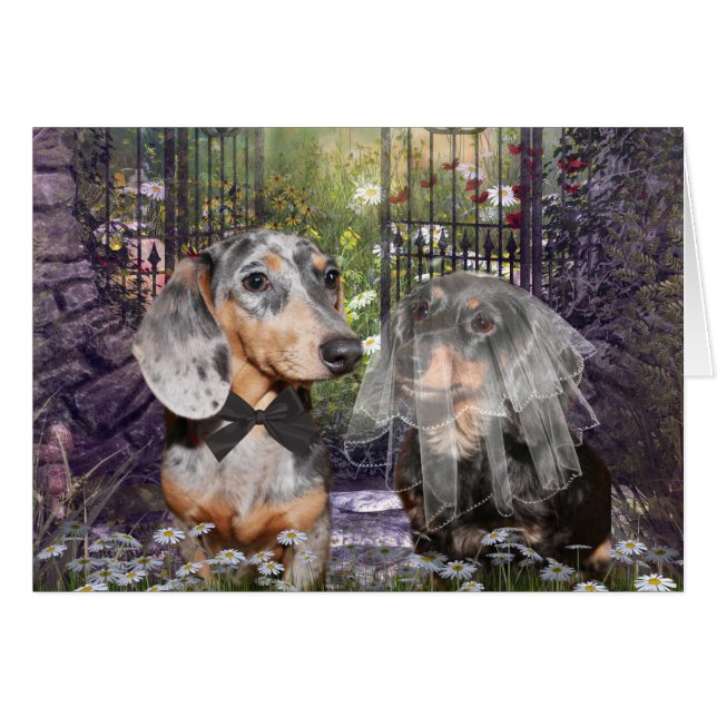 Novia y novio de Dachshund (Anverso (Horizontal))