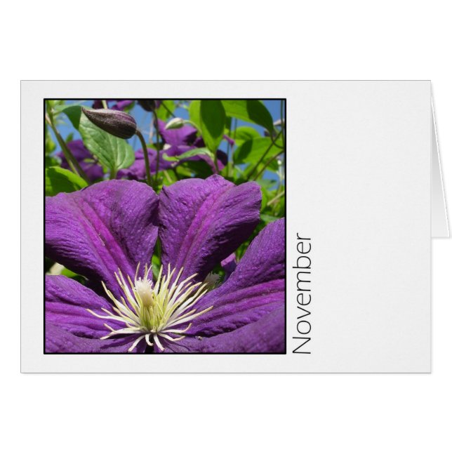 Noviembre (Anverso (Horizontal))