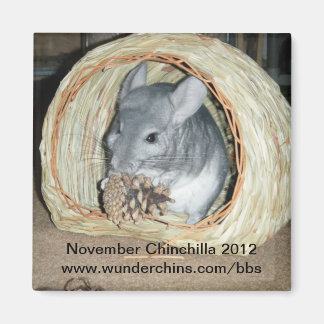 Noviembre chinchilla 2012 imán