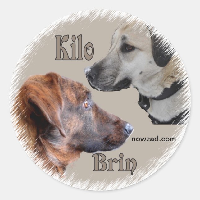 Nowzad Rescue Dogs Brin & Kilo Pegatina (Anverso)