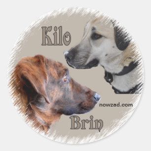 Nowzad Rescue Dogs Brin & Kilo Pegatina
