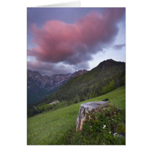 Nube de la seda del caramelo