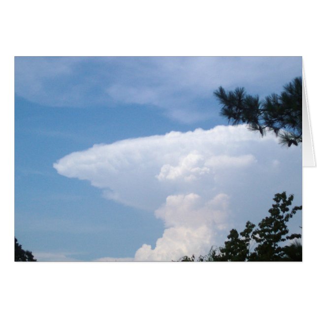 Nube de tiburones (Anverso (Horizontal))