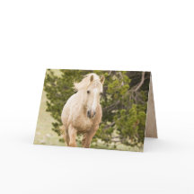 Nube viene con la tarjeta de felicitación Hill Wil