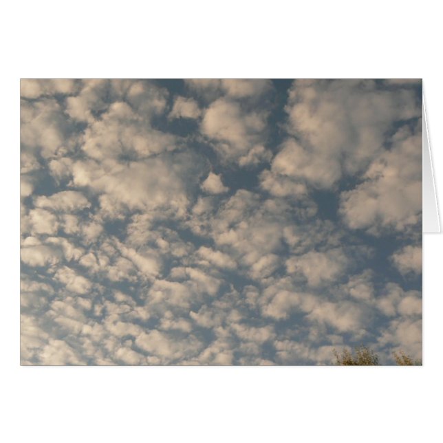 Nubes del guijarro (Anverso (Horizontal))