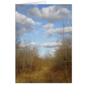 "Nubes en primavera por el carril"